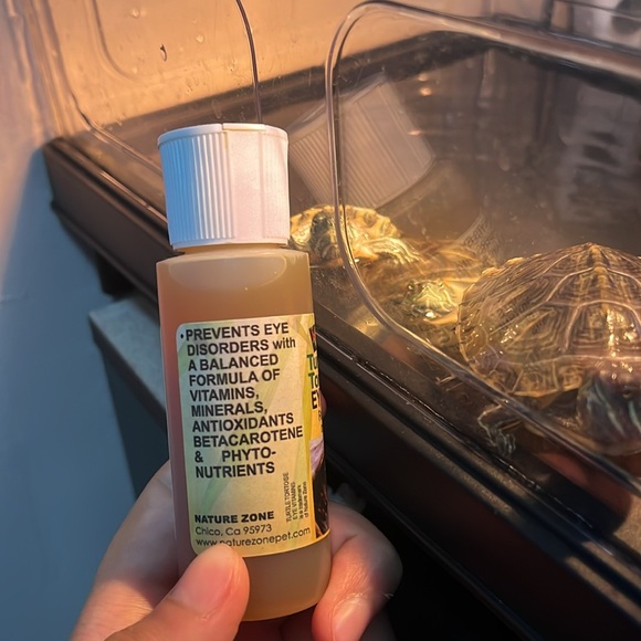 Turtle and tortoise eye vitamins for the prevent of eye disorders - Picture 2 of 3